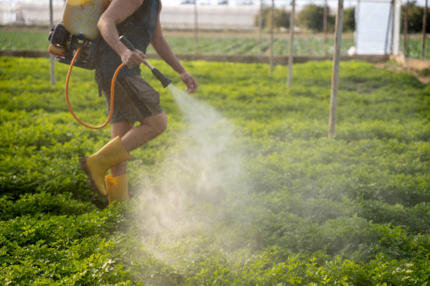 Best Mosquito Control Services  in Independence, OH