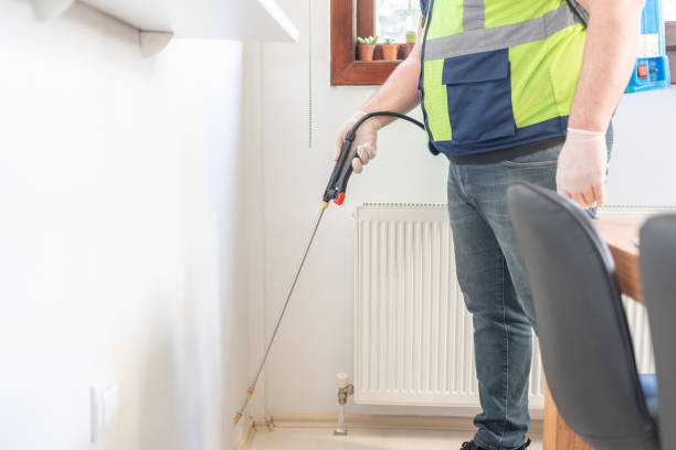 Best Termite Control Services  in Independence, OH