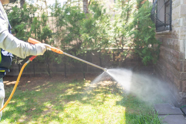 Bird Control in Independence, OH