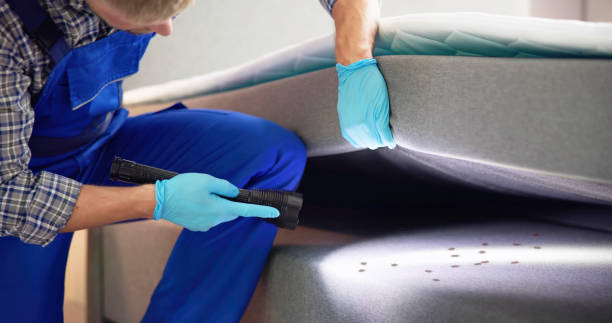 Best Cockroach Control Services  in Independence, OH