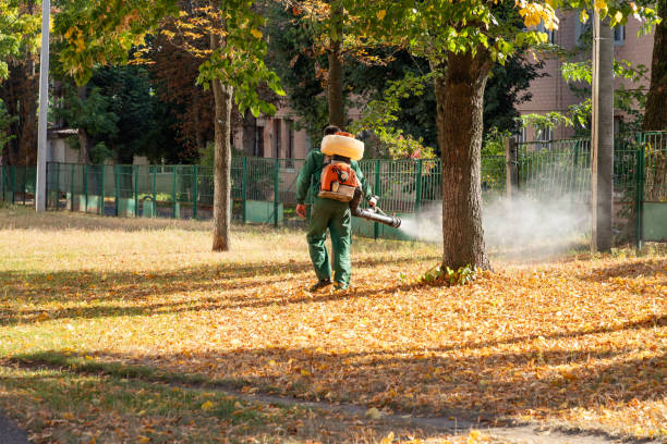 Best Emergency Pest Control  in Independence, OH