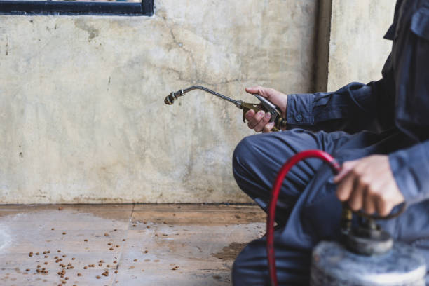 Best Local Pest Control Services  in Independence, OH